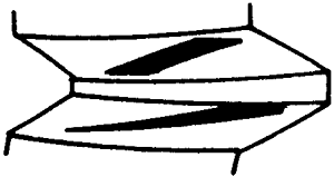 FX݆͜(zhn)pX݆g(sh)Zӹ݆X|zԇ