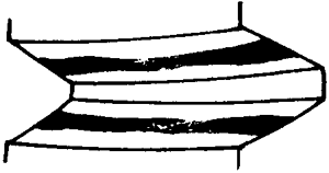FX݆͜(zhn)pX݆g(sh)Zӹ݆X|zԇ