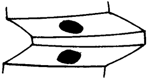 FX݆͜(zhn)pX݆g(sh)Zӹ݆X|zԇ