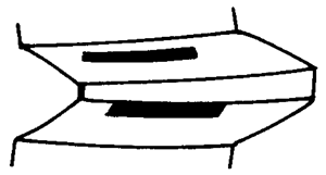 FX݆͜(zhn)pX݆g(sh)Zӹ݆X|zԇ